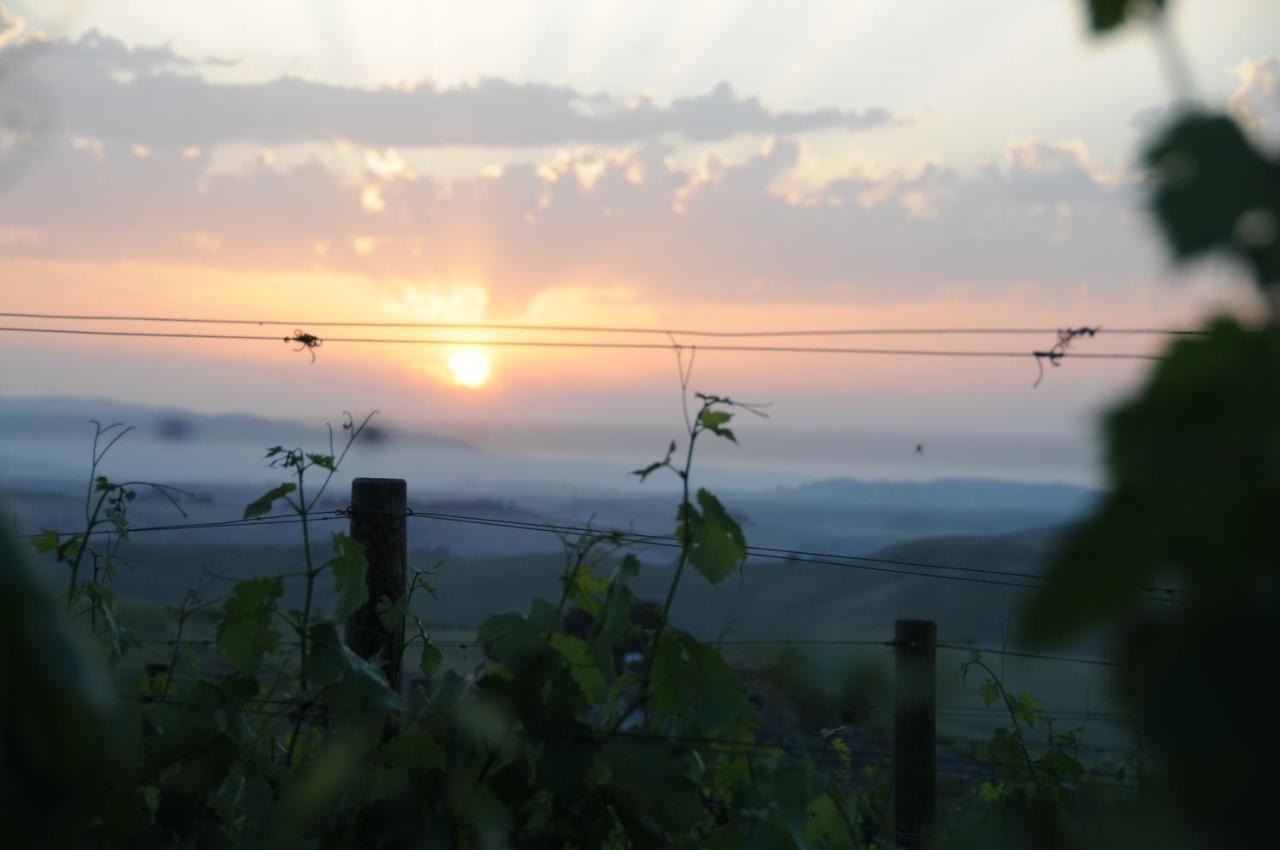 Agriturismo Podere Marcampo Волтера Екстериор снимка