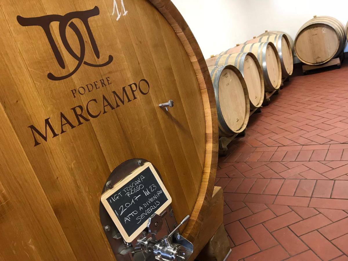 Agriturismo Podere Marcampo Волтера Екстериор снимка
