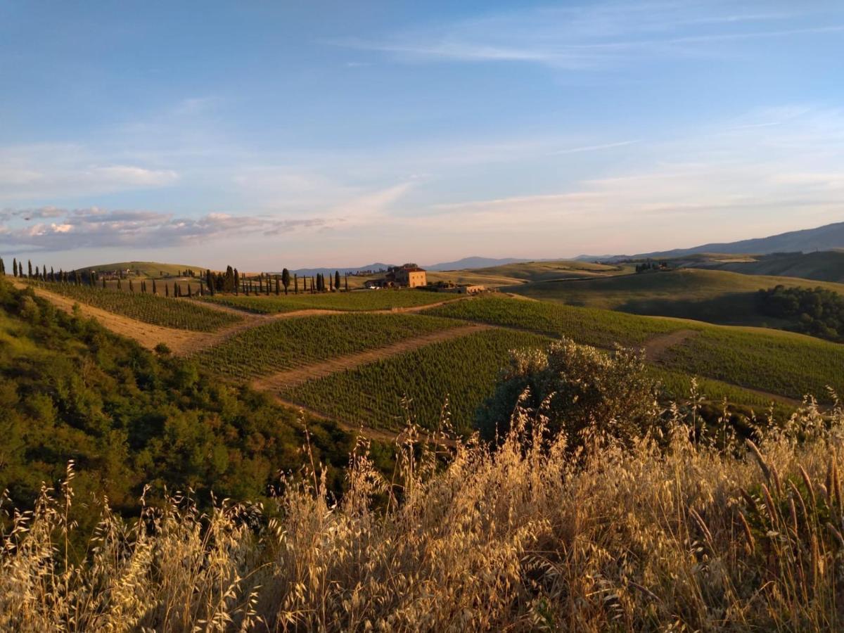 Agriturismo Podere Marcampo Волтера Екстериор снимка